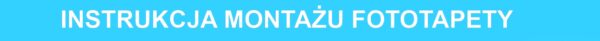 FOTO TAPETA TAPETA WINYLOWA 200x140 League of Legends 13 - obrazek 10